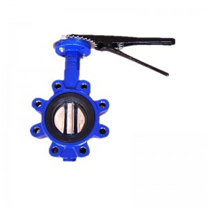 professional factory for Water Butterfly Valve - Lug Type Butterfly Valve – Dongsheng