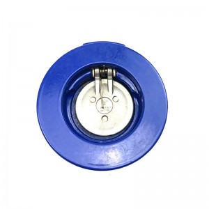Válvula de retención basculante de disco único de fundición