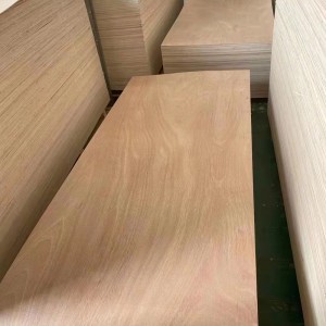 Door Skin Plywood Thin Thickness 3X7 ft Plywood