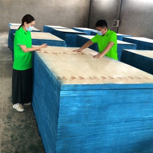 Popular Design For Birch Faced Plywood - CDX Pine Plywood for Structural Roofing & Sub-floor – Dongstar