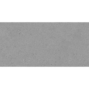 1971T Series 300 * 600mm Wall Tile Stone