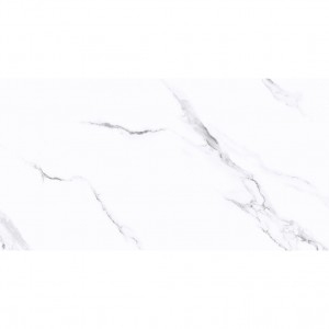 Hot-Selling 10cmx10cm Wall Tiles - GP612171 600*1200mm Marble Effect White Porcelain Tiles – Yuehaijin