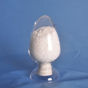 OEM Factory for Hight Quality Andrographis Paniculata P. E Andrographolide 10% Andrographolide