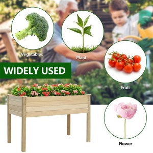 Raised Garden Bed Flower Vegetables Seeds Planter Kit Elevated Planters Box