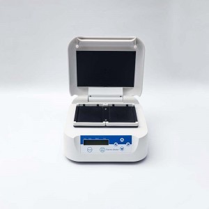 Thermostatischer Inkubator für Mikroplatten WZ80-2