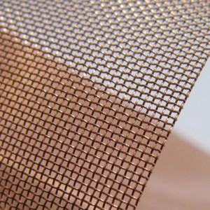 Fast delivery Stainless Steel Mesh Fabric - Phosphor Bronze Wire Mesh – Da Shang