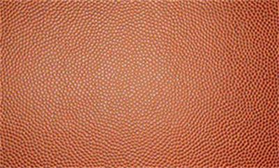 Basketball Leather