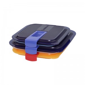 OEM China Design Parts Manufacturing - Customed crisper lid made by plastic injection mold  – DTG