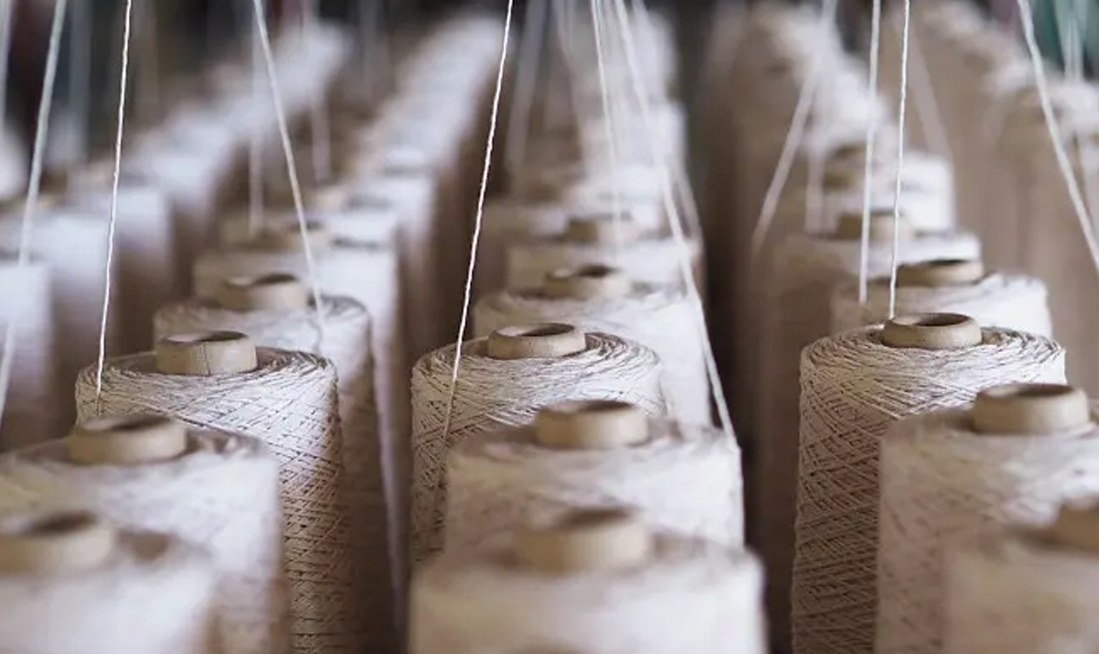 Sme tiež dodávateľom tkanín so silou na poskytovanie vysokokvalitných tkanín