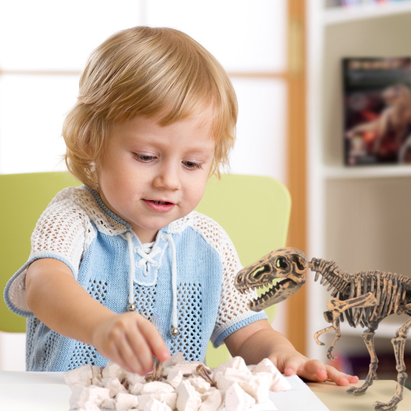 Оптовая продажа, отличные научные наборы STEM, игрушечный набор для раскопок динозавров Dukoo, включающий 9 различных скелетов динозавров внутри для мальчиков и девочек