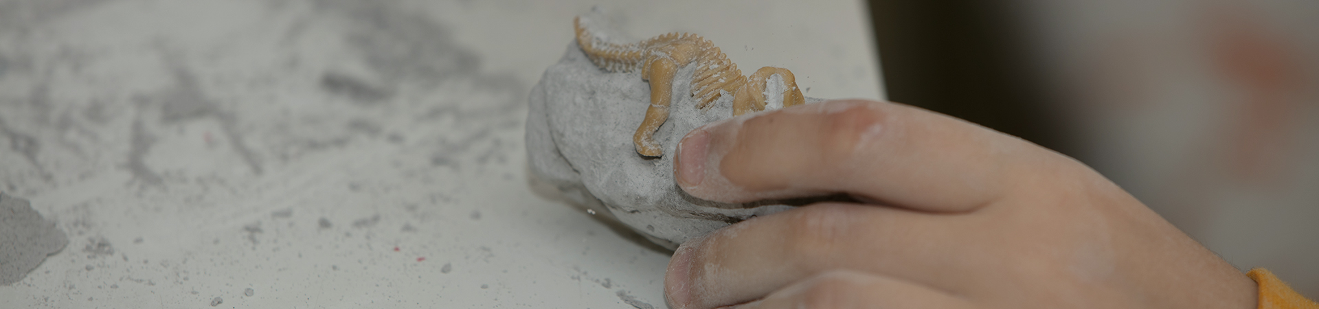 bild av ett pedagogiskt spel för att hitta fossiler för en liten arkeolog, med barnhänder grävande