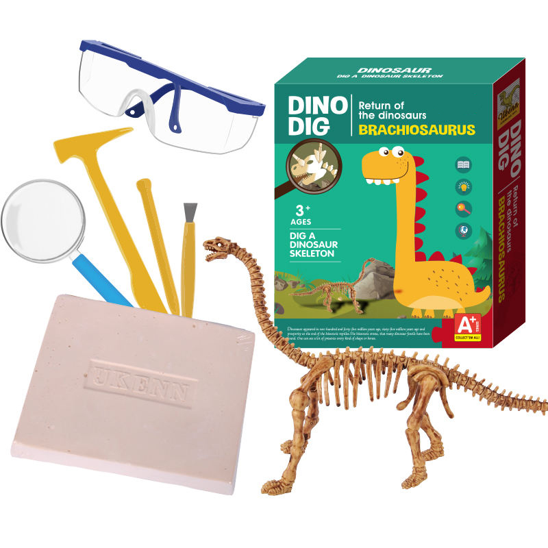 Что представляет собой набор для раскопок окаменелостей динозавров?