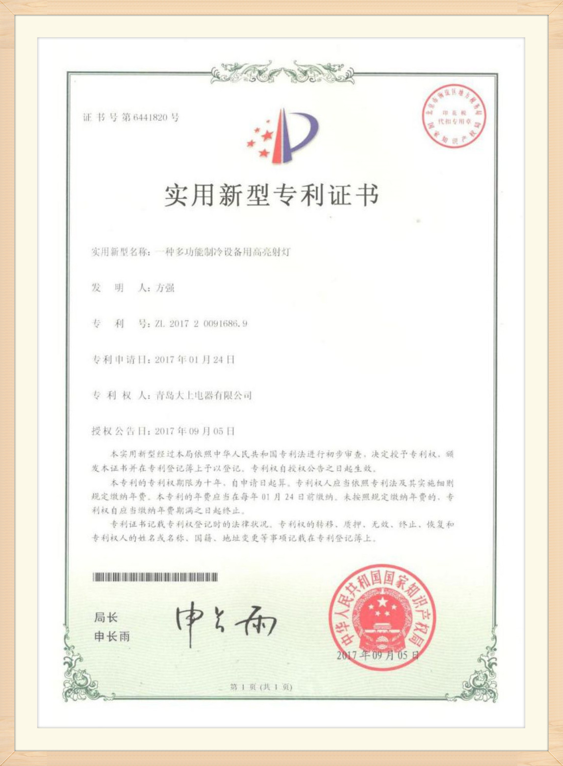 Certificat de brevet (19)