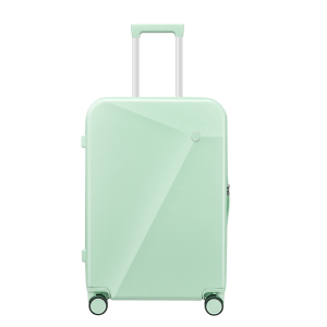 Duurzame koffer dubbele wielen TSA-slot 2-delige bagagesets