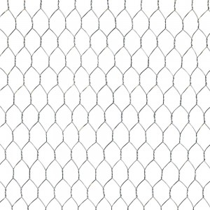 Hexagonal wire mesh garden fence