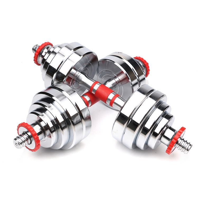 Cast Iron Electroplate Dumbbell Set 20kg Electroplating Dumbbell With Factory Price