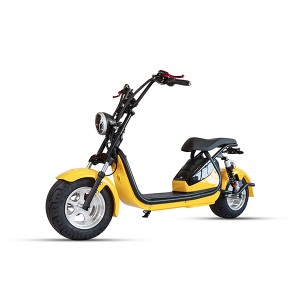 China Wholesale Scooter Electric Suppliers - 12 Inch Fat Tire 3000w Electric Motor Scooter with 20Ah battery Long Rang/EST-8 – DZX
