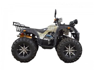 250cc 10 inch Tire ATV Quad Bike with Chain transmission for Adults Petrol Powered