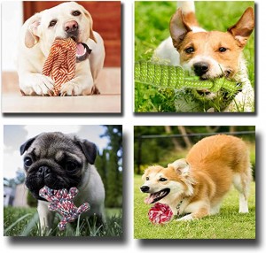 Fakitin 10 na al'ada Dogayen Auduga Dog Toy Pack Interactive Squeaky Dog Toy Pet Chew Toys