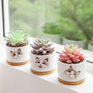 I-Fake Artificial Succulents Plant Ceramic Pots Cat Planter Izipho Zokuhlobisa Ikhaya