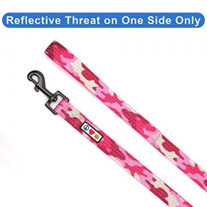 Dây xích chó phản quang 6 FT Solid Color Leash for Puppy