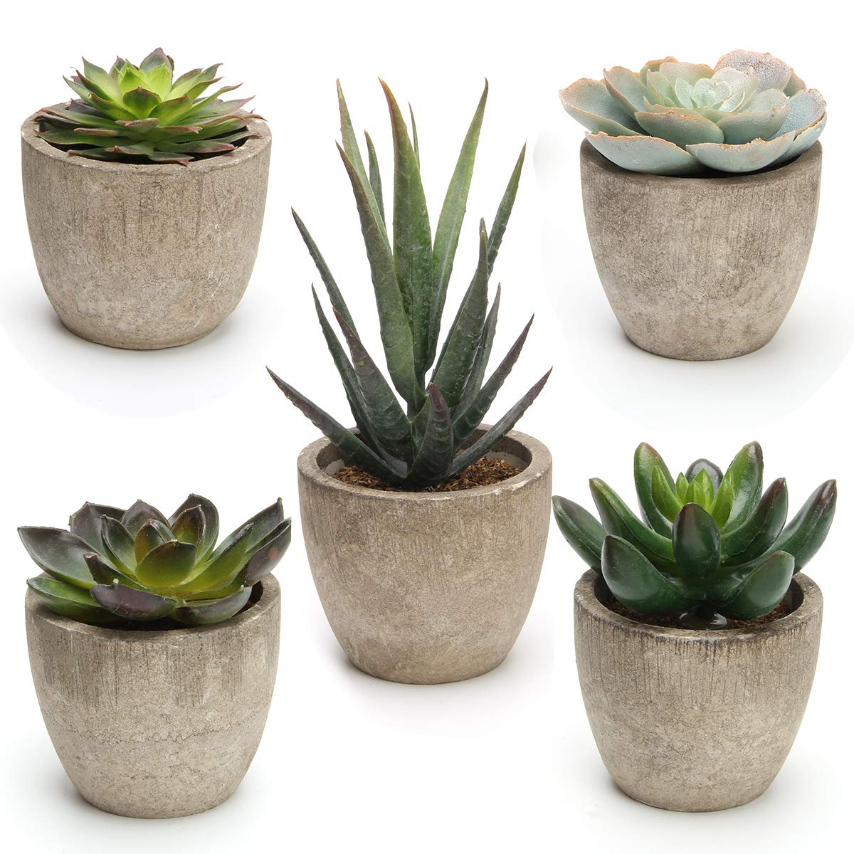 Piante succulente artificiali in vaso cactus finti decorazioni per la casa