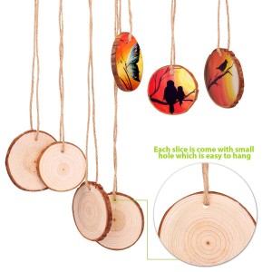 Naturligt træ Skiver Craft Wood Kit Træcirkler DIY Arts Crafts