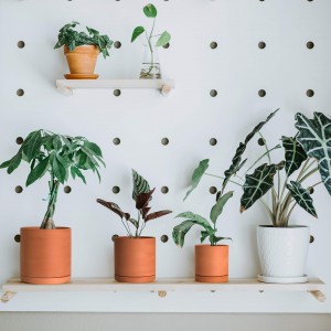 Terracotta Potte Vetplantplanter met dreinering en piering Moderne huisdekor
