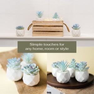 Piante succulente artificiali blu Vasi in ceramica Faux Plant Home Desk Decor