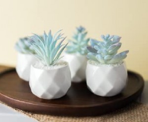 Mėlyni dirbtiniai sultingi augalai Keraminiai vazonai Dirbtiniai augalų namų rašomojo stalo dekoras