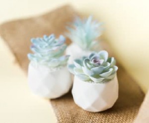 Bimë të shijshme artificiale blu Pots qeramike Bimë artificiale Dekor tavoline shtëpie