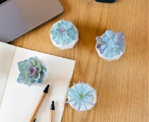 Blue Kënschtlech Succulent Planzen Keramik Poten Faux Plant Home Desk Dekor