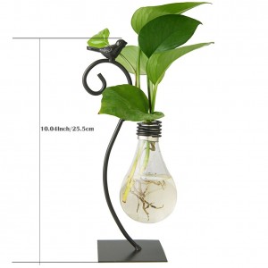 Desktop Glas Planter Hydroponics Vase Pære Vase Home Decor