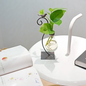 Desktop Glass Planter Hydroponics Vase Noob Vase Home Decor
