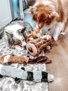 Xoguetes para cans de Hide and Seek e Xoguetes para cachorros chirriantes