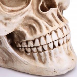 Model Tengkorak Manusia Halloween 1:1 Replika Model Tulang Kepala Tengkorak Realistik