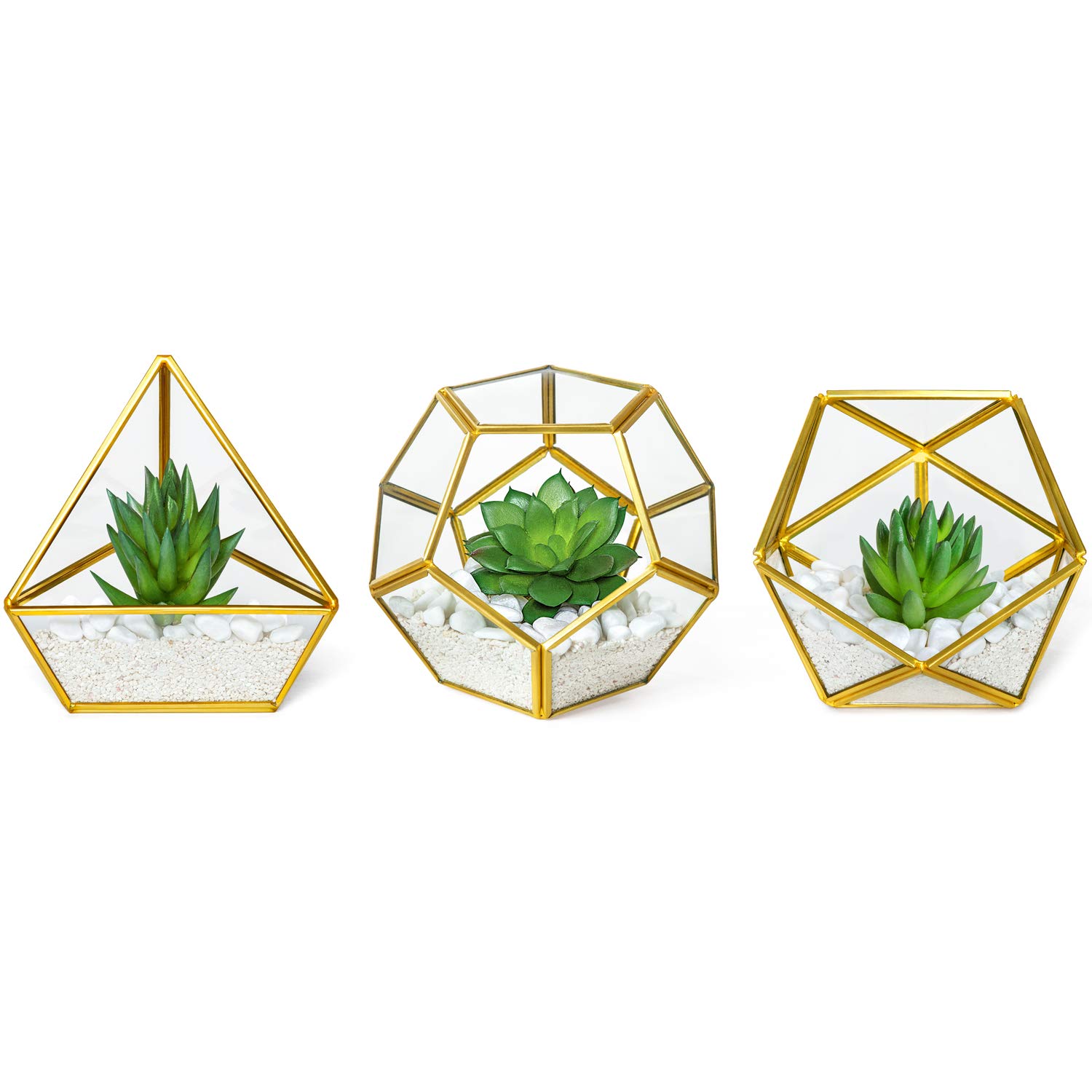 Вештачка сукулентна биљка у стакленом геометријском декору собе за тераријум