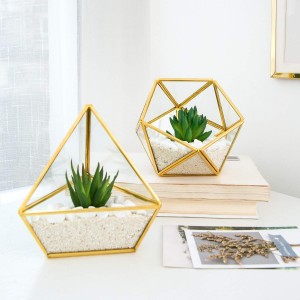 Planta suculenta artificial en decoración de habitación de terrario geométrico de vidrio