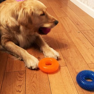 Šunų kramtomieji žaislai mažiems ir vidutiniams šunims Žaislai naminiams gyvūnėliams šuniukui
