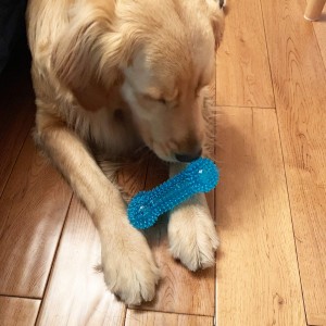 Mainan Kunyah Anjing untuk Anjing Kecil Menengah Mainan Hewan Peliharaan untuk Anak Anjing