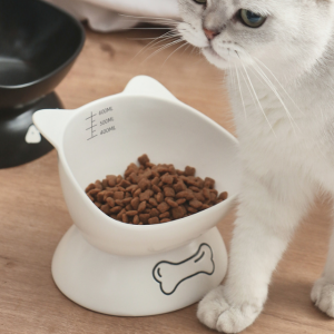 Hot Sale keramik piaraan dahar mangkuk elevated Dog Cat Food Bowl kalawan keletik Marks piaraan Cai Bowl