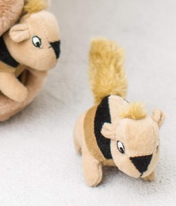 Bisani-A-Squirrel Squeaky Puzzle Plush Dog Toy