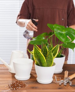 Plant potten Plastic Planters Meardere ôfwettering gatten en tray Home Garden Flower Decor