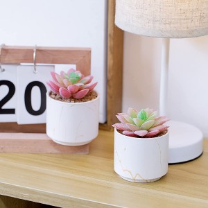 Peke nga Artipisyal nga Succulents Ceramic Pots Home Desk Decor
