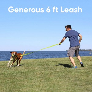 6 FT Warna padet Leash Reflective Dog Leash pikeun anak anjing