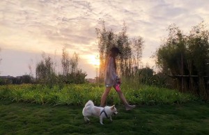 Πτυσσόμενο λουρί σκύλου Ελαφρύ φορητό λουρί 16FT