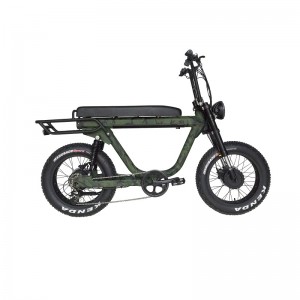 China all-terrain high-power and high-performance female electric bicycle