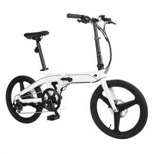 20 colių 48V750W suaugusiųjų elektrinis dviratis su stora padanga
