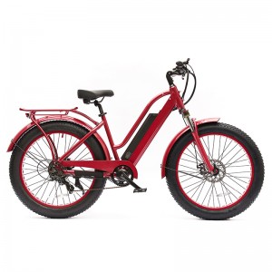 High-Quality OEM Fat Tire Electric Mountain Bike Factory Quotes –  48V 350W All Wheel Drive Ebikes Electric Fat Tire Bike – IMI