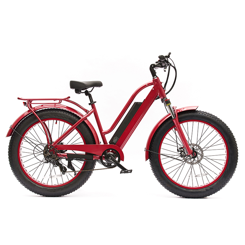 48V 350W All Wheel Drive Ebikes Electric Fat Tire Bike Featured Image
